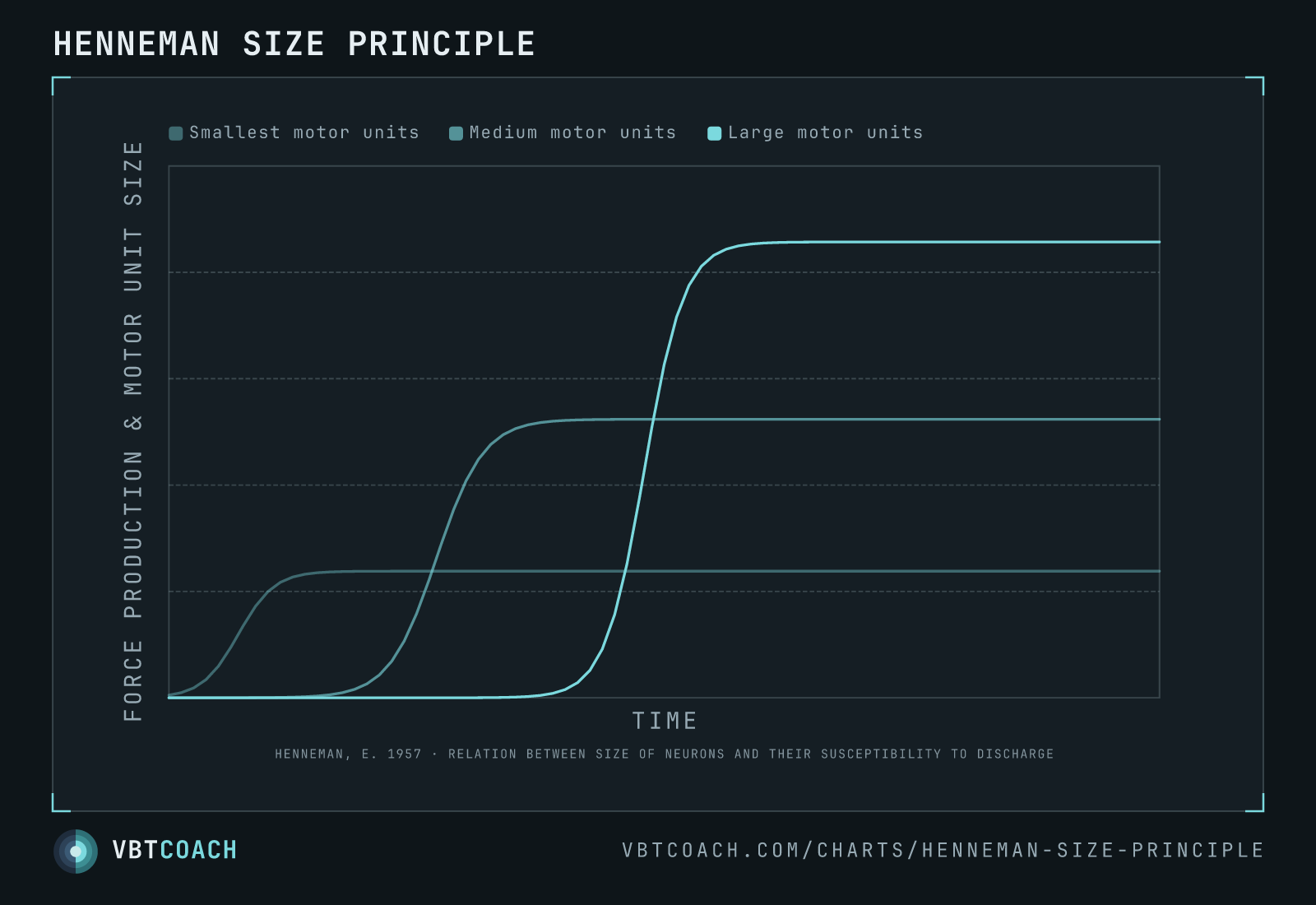 Henneman size principle — VBTcoach chart export