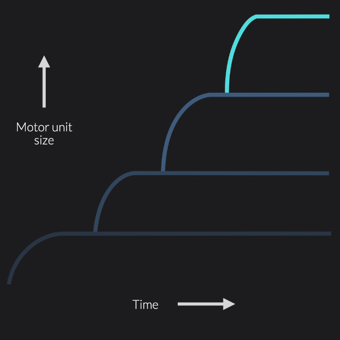 Henneman's size principle illustrated